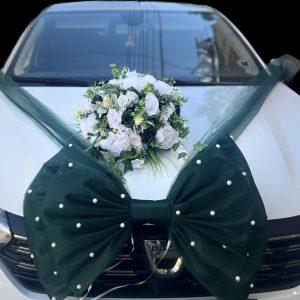 Arajament Reina verde