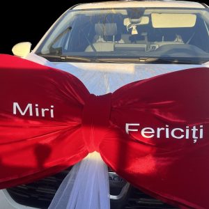 Funda gigant de catifea