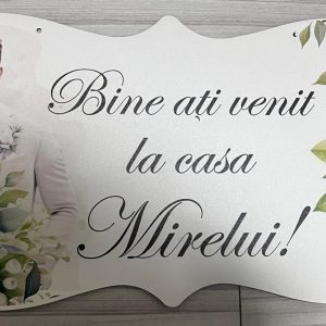 Pancarta întampinare Raul